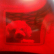 Image for article titled Shooting Challenge: Cellphone Gallery Part 5